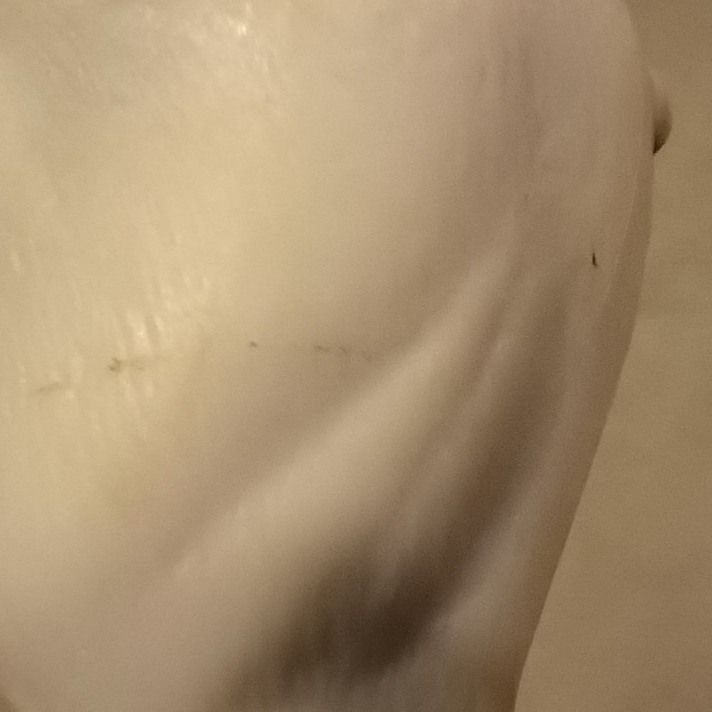 CollectA by Breyer Grey Arabian Mare - Picture 9 of 15